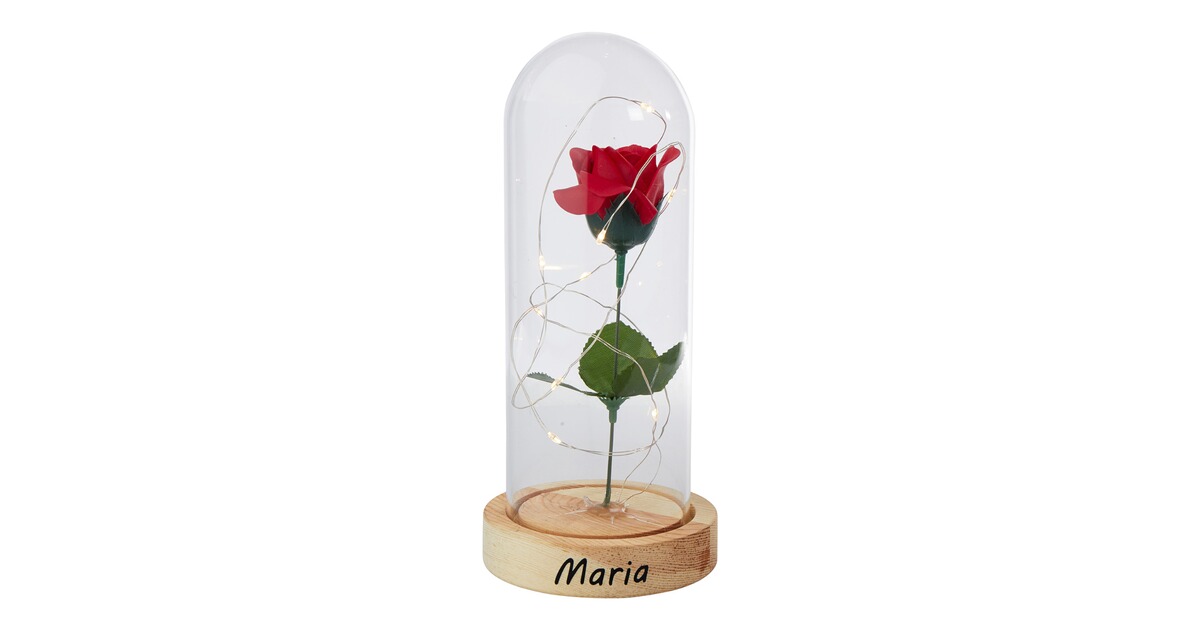 heel vallei vrijgesteld genialo Glazen stolp met leds “Eeuwige roos” gepersonaliseerd met naam  online kopen | Huis & Comfort