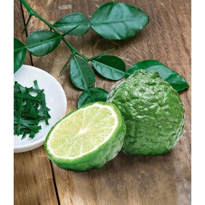BALDUR-GartenKaffir-Limette 1 Pflanze Citrus hystrix Kaffernlimette 1