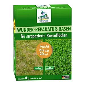 CAPTAIN GREEN  Wunder-Reparatur-Rasen, 1 kg
