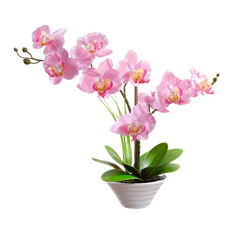 Kunstplant "Orchidee" 1