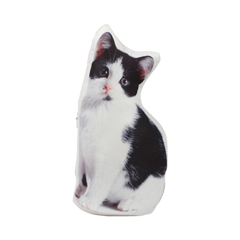 Chat Bloque Porte Max A Commander En Ligne Maison Confort