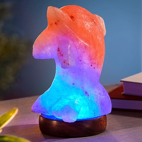 Salzkristall Lampe Delfin Online Kaufen Die Moderne Hausfrau