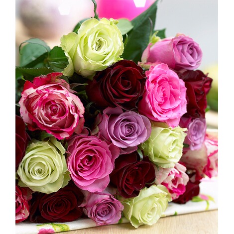 Baldur Garten 5er Rosen Arrangement Duft Farbe 5 Pflanzen Online Kaufen Die Moderne Hausfrau
