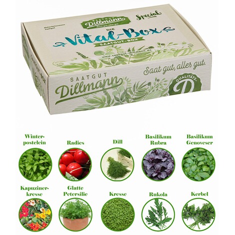 Vitalbox Saatgut Box 1 Set Online Kaufen Die Moderne Hausfrau