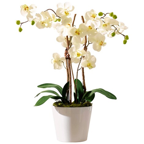 Kunstpflanze Orchideentopf 