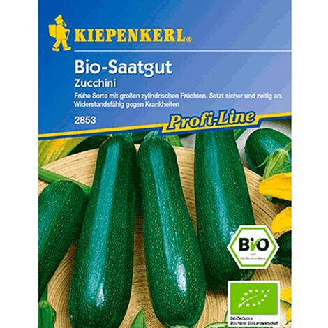 BIO-Zucchini, grün,1 Portion 1