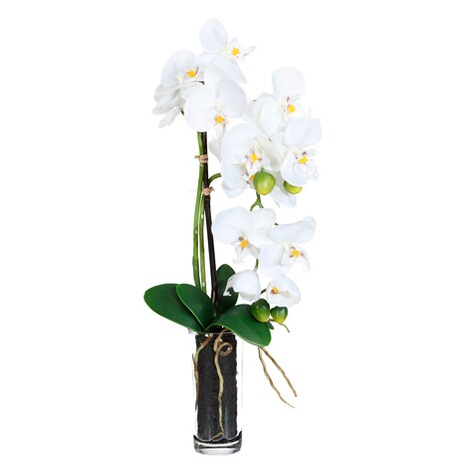Kunstpflanze Phalaenopsis im Zylinderglas, 13,5x5,5 cm weiß 2