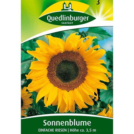 Sonnenblume 'Einfache Riesen', 1 Tüte Samen 1