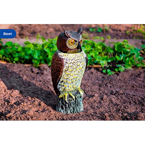 Maximex  Garteneule „Vogelschreck“, Echtwirkende Eule als Vogelscheuche 5