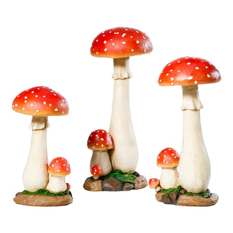 viva domo  Champignon 1