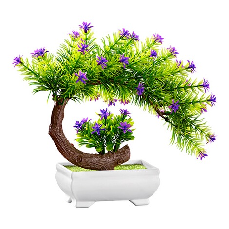 Dragende cirkel Grote waanidee Resistent Bloeiend bonsai-boompje online kopen | Huis & Comfort