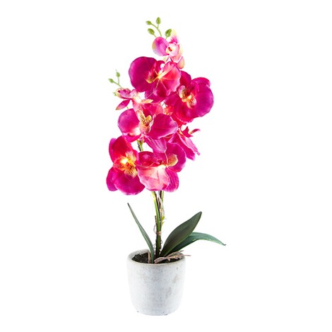 Led-orchidee 1