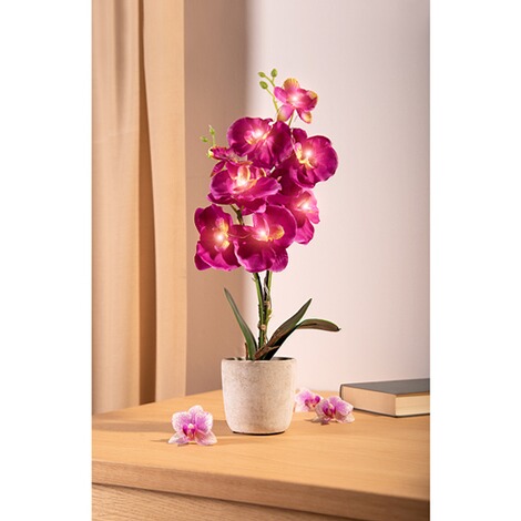 Led-orchidee 2