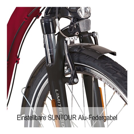 Didi Thurau Edition  Rad-Roller "3 in 1" - 26" 2