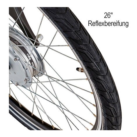 Didi Thurau Edition  Rad-Roller "3 in 1" - 26" 9