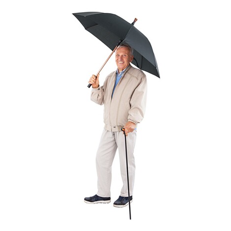 toevoegen aan Bondgenoot inval Paraplu-wandelstok online kopen | Huis & Comfort
