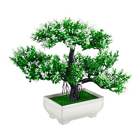 ﻿Bloeiend bonsaiboompje wit 1