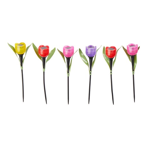 genialo  Solar tulpen Kleurrijk, 6 stuks 1