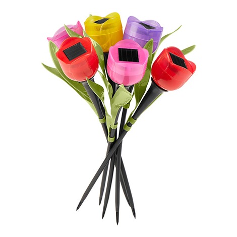 genialo  Solar tulpen Kleurrijk, 6 stuks 4