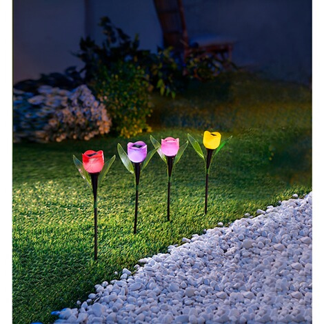 genialo  Solar tulpen Kleurrijk, 6 stuks 5