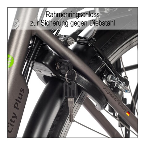 SAXONETTE  City E-Bike "München", 25 km/h schwarz 8