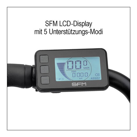 SAXONETTE  City E-Bike "München", 25 km/h schwarz 4
