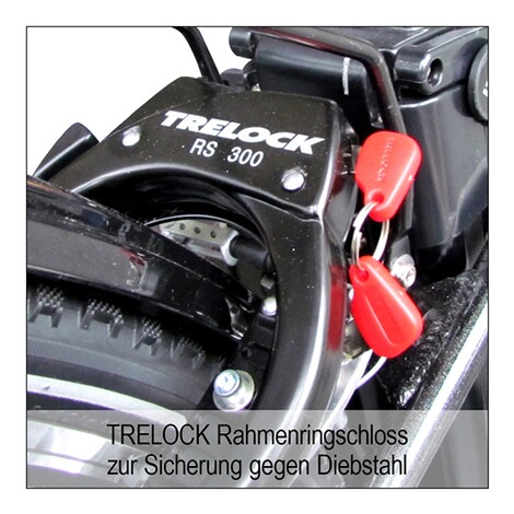 Didi Thurau Edition  Comfort-Touren-E-Bike 8