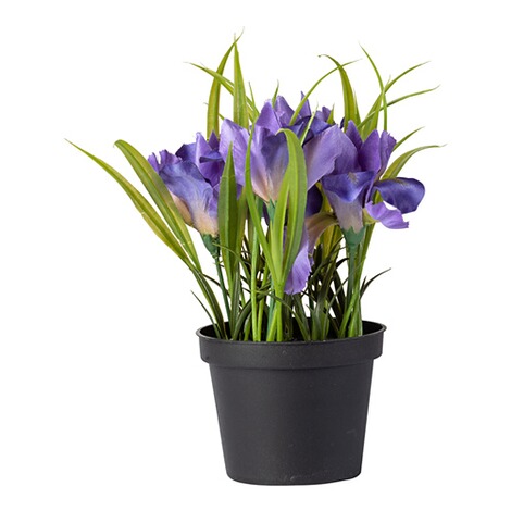 Kunstplant “Iris” lila 1