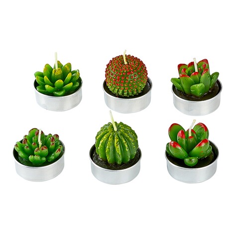vivaDOMO®  Set theelichtjes “Cactus”, 6 stuks 1
