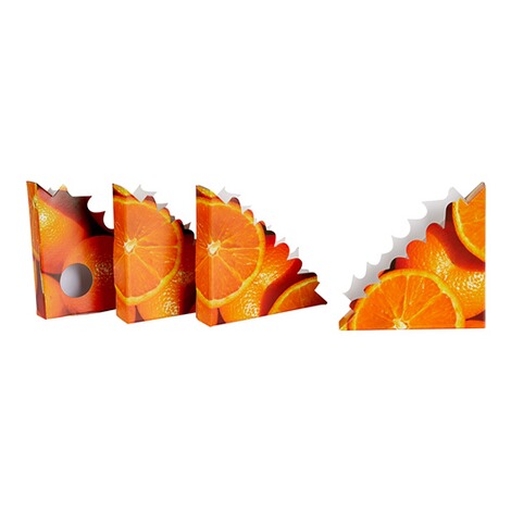 genialo®  Raamhoek-vliegenval “Sinaasappel” 1