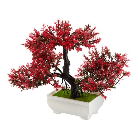 viva domo  Bloeiende bonsai "donkerrood" 1