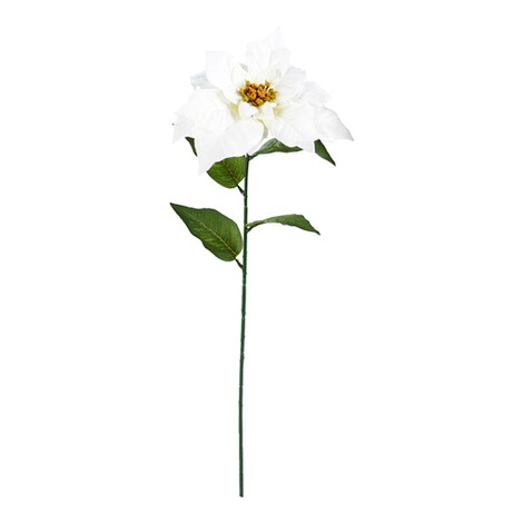 viva domo  XL-Kunstblume "Christstern" creme 1