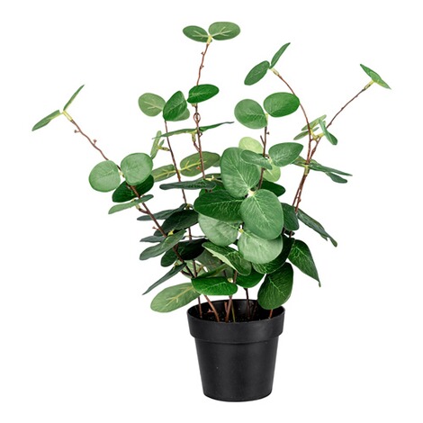 viva domo  Kunstplant “Eucalyptus” 1
