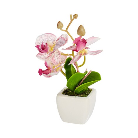 Serviette /« Orchid/ée rose /» 5 pc.