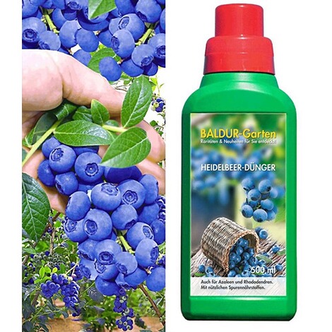 Baldur Garten Heidelbeeren Reka Blue Und Heidelbeer Dunger Micro