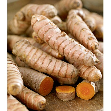 Meine Selbstgezogene Kurkuma Pflanze Youtube