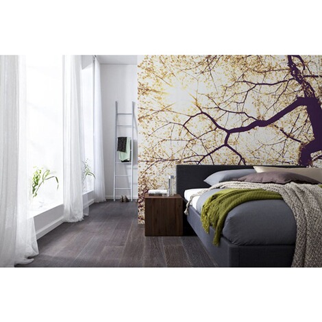 fototapete 250x250, vlies-fototapete sunshine, 250 x 250 cm / 5-tlg. online kaufen | die, Design ideen