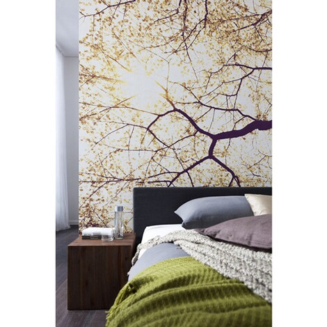 fototapete 250x250, vlies-fototapete sunshine, 250 x 250 cm / 5-tlg. online kaufen | die, Design ideen