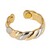 Magneet-ring 1