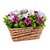 Bloembak met kunst-petunias 1