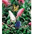 BALDUR-Garten  Sommerflieder 'Papillion Tricolor' Buddleia, 1 Pflanze Buddleja davidii 2