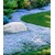 BALDUR-Garten  Winterharter Bodendecker Isotoma 'Blue Foot'®, 3 Pflanzen 1