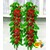 BALDUR-Garten  Säulen-Kirschen 'Sylvia® & Helena®', 2 Pflanzen Säulenobst, Kirschbaum 1