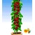 BALDUR-Garten  Säulen-Kirschen 'Stella', 1 Pflanze, Prunus avium 1