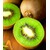 BALDUR-GartenSelbstfruchtende, großfruchtige Kiwi 'Solissimo® renact®', 1 Pflanze Actinidia deliciosa 2