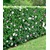 BALDUR-GartenWinterharte Hibiskus-Hecke, 10 Pflanzen, Hibiscus Syriacus 5