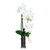   Kunstpflanze Phalaenopsis im Zylinderglas, 13,5x5,5 cm  weiß