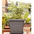 Emsa"My City Garden" Blumenkübel granit eckig 30x30x26 cm,1 Stück 1