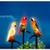 Solar-Vogel-Parade Papagei Ludwig 2