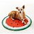 Hunde-Kühlmatte Melone 2
